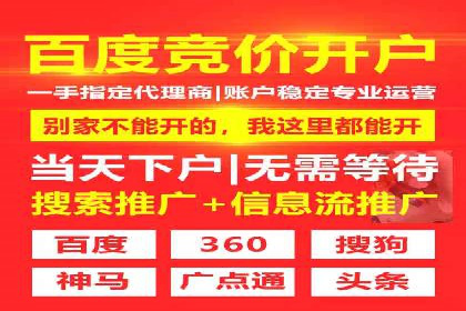 信息流广告精准投放：成功案例展示